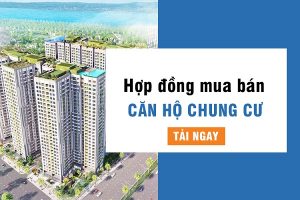 Mẫu hợp đồng mua bán nhà chung cư mới nhất