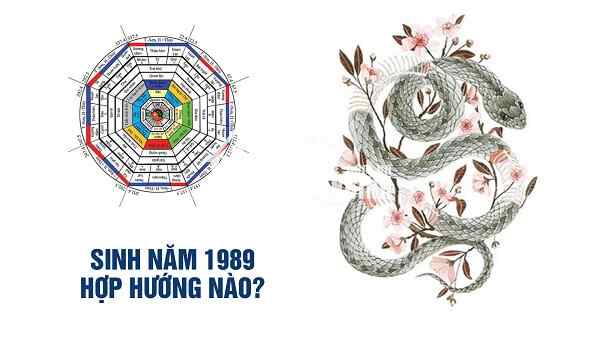 Tuổi Kỷ Tỵ 1989 Hợp Hướng Nhà Nào: Nam Mạng + Nữ Mạng (2019)