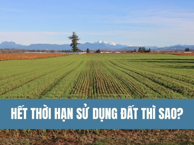 het-thoi-han-su-dung-dat-thi-sao