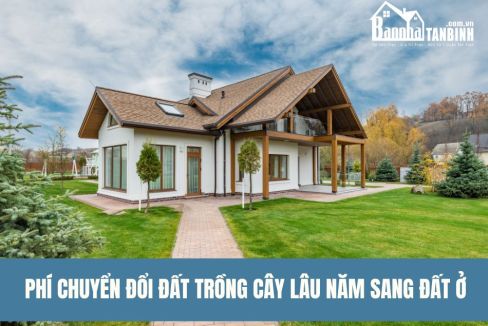 phi-chuyen-doi-dat-trong-cay-lau-nam-sang-dat-o-2023