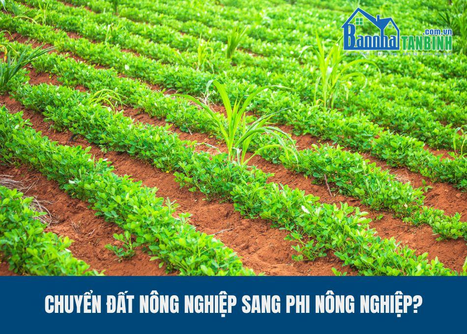 thu-tuc-chuyen-dat-nong-nghiep-sang-phi-nong-nghiep