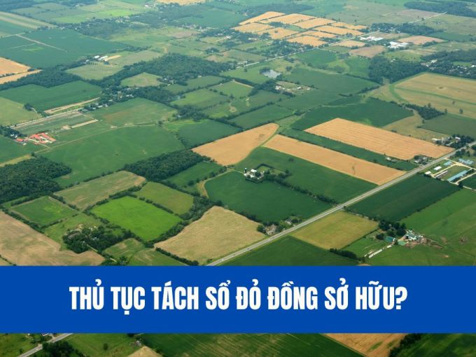 Thu-tuc-tach-so-do-dong-so-huu-quan-tan-binh-2023