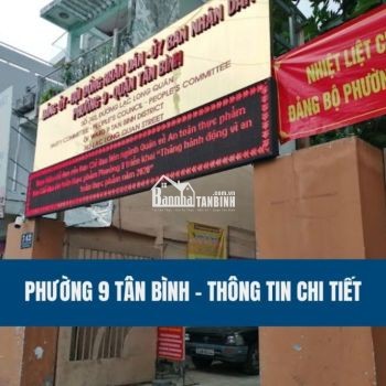 phuong-9-tan-binh-thong-tin-chi-tiet
