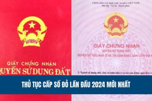 thu-tuc-cap-so-do-lan-dau-2024-moi-nhat