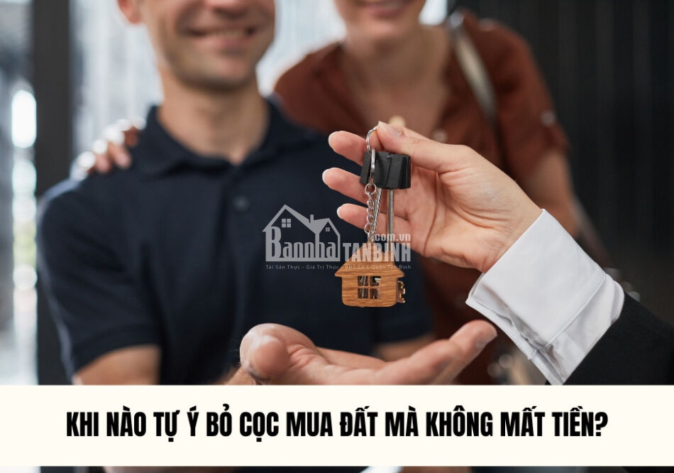 tu-y-bo-coc-mua-dat-phai-boi-thuong-the-nao-1