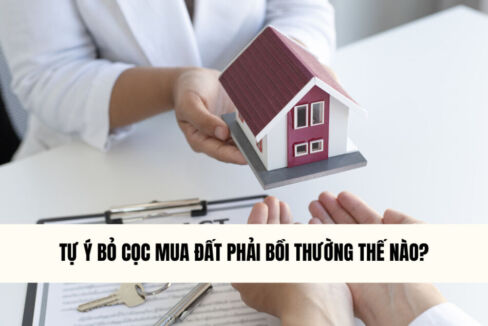 tu-y-bo-coc-mua-dat-phai-boi-thuong-the-nao