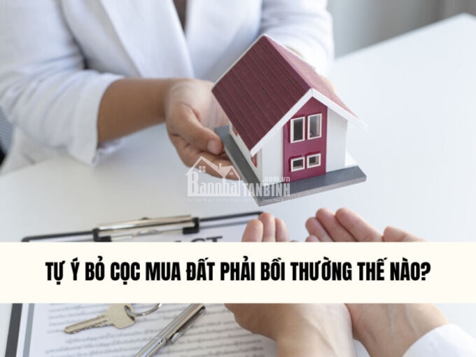 tu-y-bo-coc-mua-dat-phai-boi-thuong-the-nao