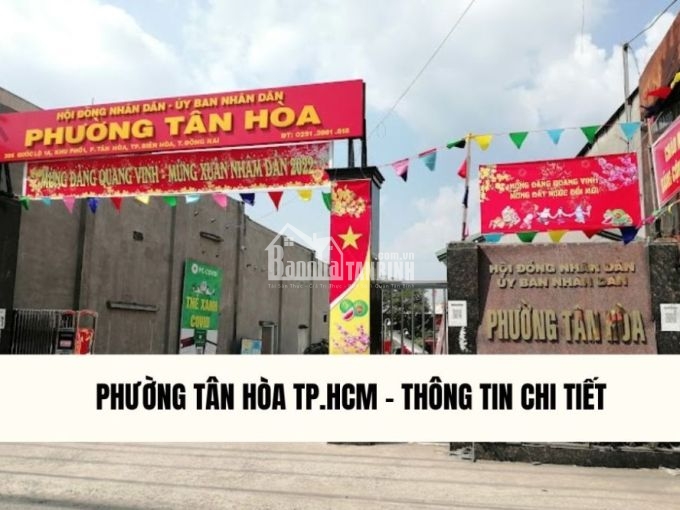 phuong-tan-hoa-tp-hcm-thong-tin-chi-tiet