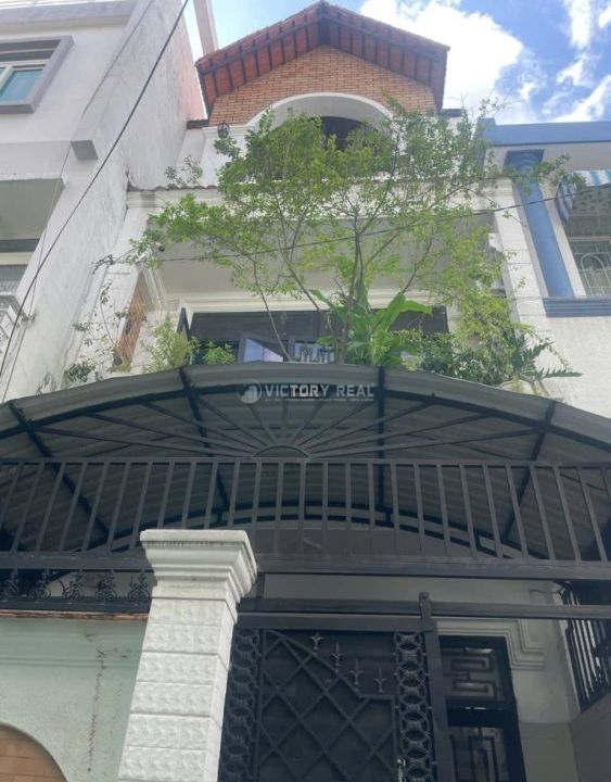 2508091131185242-36129-1000017241