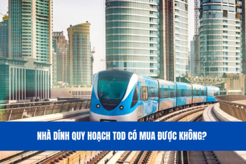 nha-dinh-quy-hoach-tod-co-mua-duoc-khong